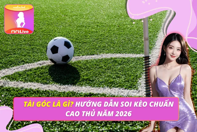 Tài Góc Là Gì