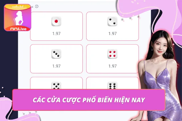 Một số cửa cược phổ biến trong tài xỉu hiện nay
